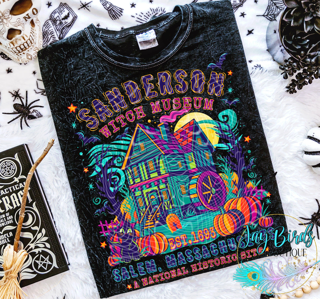 Sanderson Museum Solid tee