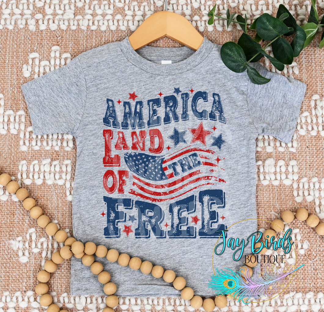 Land of the free Solid Tee